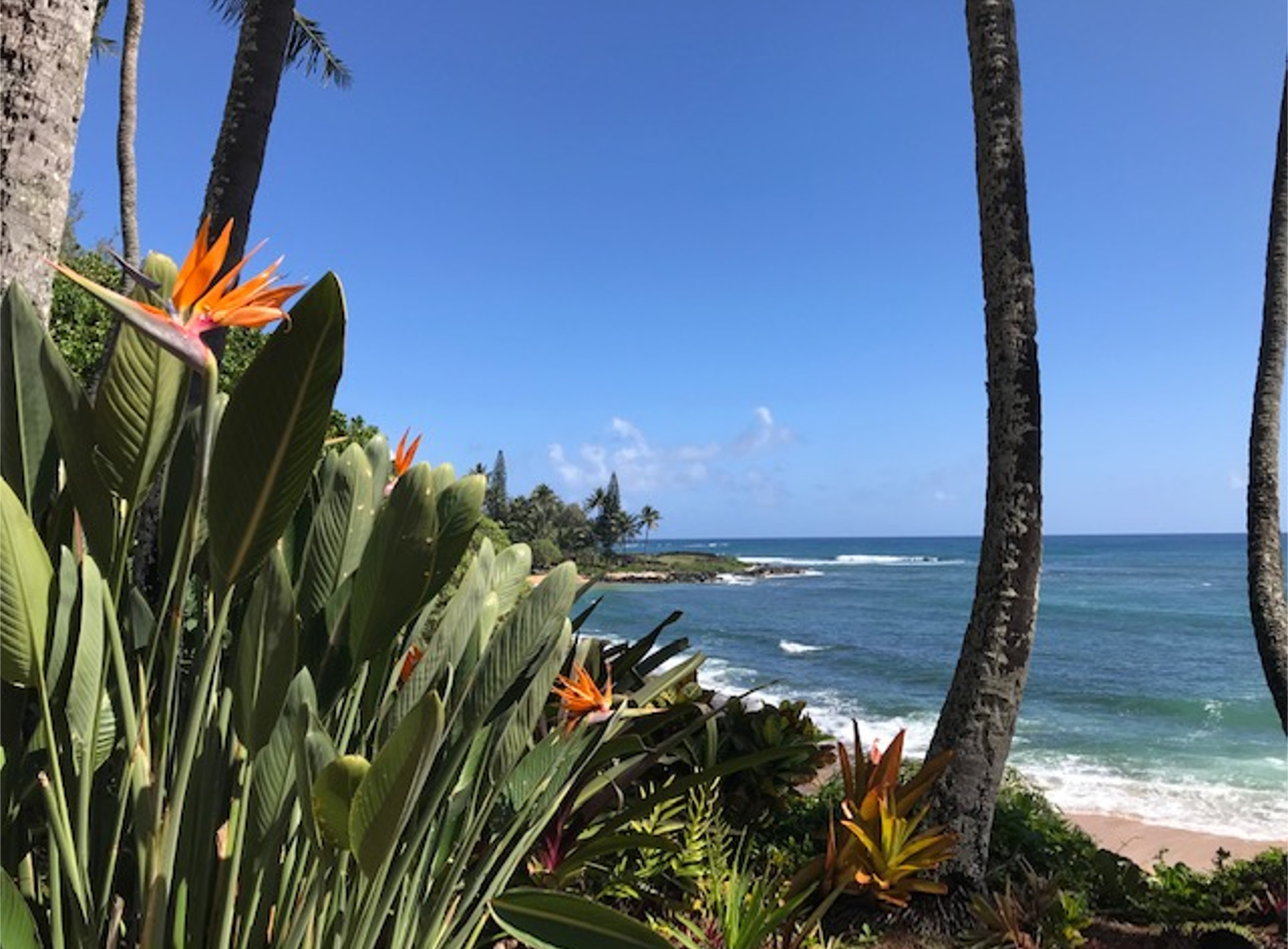 Mahaulepu Beach, Kauai - one of Hawaii's most beautiful and secluded beaches